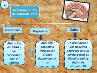 Alteración en los
neurotransmisores
Acetilcolina Dopamina Gaba
Alteración
del SARA y
sus
conexiones
con el
tálamo
Aumento
dopamina
Tratado con
drogas
dopaminergic
as
bloqueantes.
La disminución
por su acción
sobre los centros
del despertar en
hipoglucemia y
déficit de
vitamina B1
 