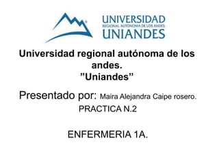 Universidad regional autónoma de los
andes.
”Uniandes”
Presentado por: Maira Alejandra Caipe rosero.
PRACTICA N.2
ENFERMERIA 1A.
 