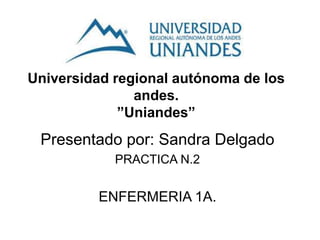Universidad regional autónoma de los
andes.
”Uniandes”
Presentado por: Sandra Delgado
PRACTICA N.2
ENFERMERIA 1A.
 