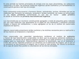 En este periodo las fuentes principales de energía eran los rayos ultravioletas, las radiaciones
radiactivas y el calor. Las primeras moléculas orgánicas (ácido cianhídrico y el formaldehído) se
construyeron gracias a ase tipo de energía.
Estos compuestos evolucionaron y formaron ribosas, aminoácidos, purinas, dirimidas que son las
moléculas que formaron los azúcares, proteínas y ácidos nucleicos, los cuales se encontraban
en los mares primitivos conformando lo que dio en llamar caldo primitivo
en donde se formaron las primeras macromoléculas orgánicas
Las macromoléculas se reunieron constituyendo agregados a modo de pequeñas gotas rodeadas
por una capa molecular que desempeña en el papel de una membrana y realizaron procesos
simples a manera de metabolismo, a estos agregados se les da el nombre de coacervados
(hipótesis de Oparin).
Algunos coacervados presentaron ácidos nucleicos y las enzimas necesarias para su replicación y
de esa manera se empezaron a reproducir.
Estos coacervados con capacidad reproductora recibieron el nombre de eubiontos
y fueron de tipo heterótrofos y anaerobios; es decir que no producían alimentos mediante la
fotosíntesis, se nutrían de la materia orgánica presente en el caldo primitivo y no necesitaban
oxígeno para su respiración. Posteriormente apareció la fotosíntesis, que es el fenómeno a
través del cual los vegetales producen sus alimentos con la liberación de oxígeno, por lo que en
la atmósfera se hizo presente el oxígeno, por lo tanto la vida aerobia. Por último la formación
de la capa de ozono hizo posible la colonización de las tierras emergidas
 
