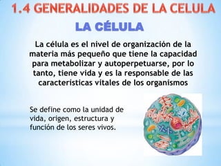 La célula es el nivel de organización de la
materia más pequeño que tiene la capacidad
para metabolizar y autoperpetuarse, por lo
tanto, tiene vida y es la responsable de las
características vitales de los organismos
LA CÉLULA
Se define como la unidad de
vida, origen, estructura y
función de los seres vivos.
 