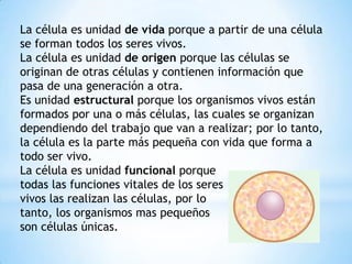 La célula es unidad de vida porque a partir de una célula
se forman todos los seres vivos.
La célula es unidad de origen porque las células se
originan de otras células y contienen información que
pasa de una generación a otra.
Es unidad estructural porque los organismos vivos están
formados por una o más células, las cuales se organizan
dependiendo del trabajo que van a realizar; por lo tanto,
la célula es la parte más pequeña con vida que forma a
todo ser vivo.
La célula es unidad funcional porque
todas las funciones vitales de los seres
vivos las realizan las células, por lo
tanto, los organismos mas pequeños
son células únicas.
 
