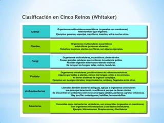 Clasificación en Cinco Reinos (Whitaker)
 