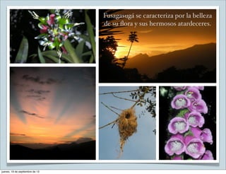 Fusagasugá se caracteriza por la belleza
de su ﬂora y sus hermosos atardeceres.
jueves, 19 de septiembre de 13
 