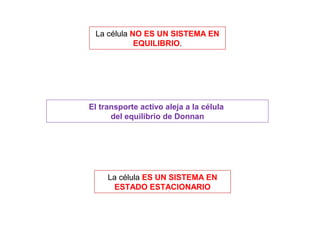 La célula NO ES UN SISTEMA EN
EQUILIBRIO.
La célula ES UN SISTEMA EN
ESTADO ESTACIONARIO
El transporte activo aleja a la célula
del equilibrio de Donnan
 