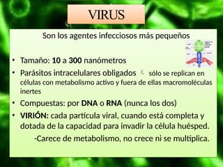 Antivirales Facultad de medicina Faustino Gonzalezpptx | PPTX