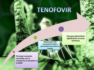 Principal mutación
vinculada con la
resistencia al tenofovir es
la K65R
Disminución del
crecimiento fetal y
porosidad ósea fetal en
monos
Hay paso placentario
significativo en seres
humanos
 