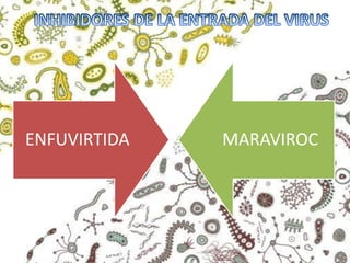 ENFUVIRTIDA MARAVIROC
 