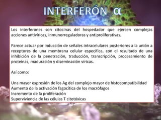 Los interferones son citocinas del hospedador que ejercen complejas
acciones antivíricas, inmunorreguladoras y antiproliferativas.
Parece actuar por inducción de señales intracelulares posteriores a la unión a
receptores de una membrana celular específica, con el resultado de una
inhibición de la penetración, traducción, transcripción, procesamiento de
proteínas, maduración y diseminación víricas.
Así como:
Una mayor expresión de los Ag del complejo mayor de histocompatibilidad
Aumento de la activación fagocítica de los macrófagos
Incremento de la proliferación
Superviviencia de las células T citotóxicas
 