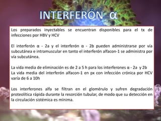 Los preparados inyectables se encuentran disponibles para el tx de
infecciones por HBV y HCV
El interferón α - 2a y el interferón α - 2b pueden administrarse por vía
subcutánea e intramuscular en tanto el interferón alfacon-1 se administra por
vía subcutánea.
La vida media de eliminación es de 2 a 5 h para los interferones α - 2a y 2b
La vida media del interferón alfacon-1 en px con infección crónica por HCV
varía de 6 a 10h
Los interferones alfa se filtran en el glomérulo y sufren degradación
proteolítica rápida durante la resorción tubular, de modo que su detección en
la circulación sistémica es mínima.
 