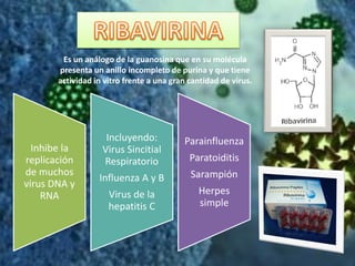 Es un análogo de la guanosina que en su molécula
presenta un anillo incompleto de purina y que tiene
actividad in vitro frente a una gran cantidad de virus.
Inhibe la
replicación
de muchos
virus DNA y
RNA
Incluyendo:
Virus Sincitial
Respiratorio
Influenza A y B
Virus de la
hepatitis C
Parainfluenza
Paratoiditis
Sarampión
Herpes
simple
 