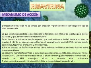 El mecanismo de acción no se conoce con precisión y probablemente varíe según el tipo de
virus involucrado.
Lo que se sabe con certeza es que requiere fosforilarse en el interior de la célula para ejercer
su acción y que para ello utiliza cinasas celulares.
Es un fármaco antivírico de amplio espectro que in vitro tiene actividad frente a los virus de
la gripe A y B, de las paperas, parainfluenza, virus respiratorio sincitial (VSR), herpes simple,
adenovirus, togavirus, arenavirus y muchos otros.
Sufre un proceso de fosforilación en las célula infectada utilizando enzimas tisulares como
la adenosin kinasa.
La ribavirina monofosfato inhibe la síntesis de guanosín monofosfato, reduciendo sus niveles
intracelulares. La ribavirina trifosfato inhibe la enzima mRNA-guanililtransferasa inhibiendo la
síntesis de ARN mensajero vírico y también ARN polimerasa.
A altas concentraciones in vitro también inhibe la transcriptasa inversa del VIH.
 