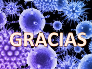 ANTIVIRALES ANTIVIRALS