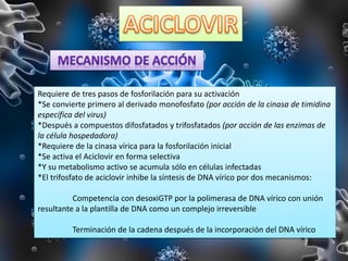 Requiere de tres pasos de fosforilación para su activación
*Se convierte primero al derivado monofosfato (por acción de la cinasa de timidina
específica del virus)
*Después a compuestos difosfatados y trifosfatados (por acción de las enzimas de
la célula hospedadora)
*Requiere de la cinasa vírica para la fosforilación inicial
*Se activa el Aciclovir en forma selectiva
*Y su metabolismo activo se acumula sólo en células infectadas
*El trifosfato de aciclovir inhibe la síntesis de DNA vírico por dos mecanismos:
Competencia con desoxiGTP por la polimerasa de DNA vírico con unión
resultante a la plantilla de DNA como un complejo irreversible
Terminación de la cadena después de la incorporación del DNA vírico
 