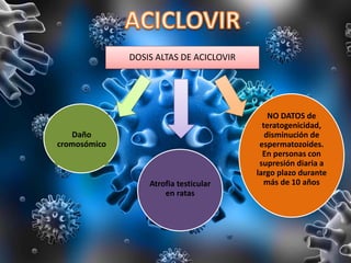 DOSIS ALTAS DE ACICLOVIR
Daño
cromosómico
Atrofia testicular
en ratas
NO DATOS de
teratogenicidad,
disminución de
espermatozoides.
En personas con
supresión diaria a
largo plazo durante
más de 10 años
 