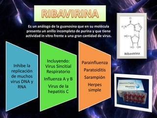 Es un análogo de la guanosina que en su molécula
presenta un anillo incompleto de purina y que tiene
actividad in vitro frente a una gran cantidad de virus.
Inhibe la
replicación
de muchos
virus DNA y
RNA
Incluyendo:
Virus Sincitial
Respiratorio
Influenza A y B
Virus de la
hepatitis C
Parainfluenza
Paratoiditis
Sarampión
Herpes
simple
 