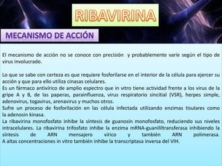El mecanismo de acción no se conoce con precisión y probablemente varíe según el tipo de
virus involucrado.
Lo que se sabe con certeza es que requiere fosforilarse en el interior de la célula para ejercer su
acción y que para ello utiliza cinasas celulares.
Es un fármaco antivírico de amplio espectro que in vitro tiene actividad frente a los virus de la
gripe A y B, de las paperas, parainfluenza, virus respiratorio sincitial (VSR), herpes simple,
adenovirus, togavirus, arenavirus y muchos otros.
Sufre un proceso de fosforilación en las célula infectada utilizando enzimas tisulares como
la adenosin kinasa.
La ribavirina monofosfato inhibe la síntesis de guanosín monofosfato, reduciendo sus niveles
intracelulares. La ribavirina trifosfato inhibe la enzima mRNA-guanililtransferasa inhibiendo la
síntesis de ARN mensajero vírico y también ARN polimerasa.
A altas concentraciones in vitro también inhibe la transcriptasa inversa del VIH.
 