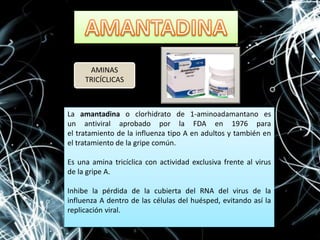 La amantadina o clorhidrato de 1-aminoadamantano es
un antiviral aprobado por la FDA en 1976 para
el tratamiento de la influenza tipo A en adultos y también en
el tratamiento de la gripe común.
Es una amina tricíclica con actividad exclusiva frente al virus
de la gripe A.
Inhibe la pérdida de la cubierta del RNA del virus de la
influenza A dentro de las células del huésped, evitando así la
replicación viral.
AMINAS
TRICÍCLICAS
 