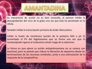Su mecanismo de acción no es bien conocido, al parecer inhibe la
descapsidación del virus de la gripe una vez que éste ha penetrado en la
célula.
También inhibe la transcripción primaria de ácido ribonucleico.
Inhibe la fusión de membrana (acción de la proteína HA2 a ph 5)
aumentado el Ph del fagolisosoma que se forma una vez que la
nucleocápside ingreso al endosoma celular luego de la adsorcion.
La forma en que ejerce su acción antiparkinsoniana no se conoce con
exactitud, pero se postula que induce la liberación de dopamina desde las
terminaciones de las neuronas cerebrales, junto a una estimulación de la
respuesta de la norepinefrina.
 