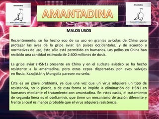MALOS USOS
Recientemente, se ha hecho eco de su uso en granjas avícolas de China para
proteger las aves de la gripe aviar. En países occidentales, y de acuerdo a
normativas de uso, éste sólo está permitido en humanos. Los pollos en China han
recibido una cantidad estimada de 2.600 millones de dosis.
La gripe aviar (H5N1) presente en China y en el sudeste asiático se ha hecho
resistente a la amantadina, pero otras cepas dispersadas por aves salvajes
en Rusia, Kazajistán y Mongolia parecen no serlo.
Éste es un grave problema, ya que una vez que un virus adquiere un tipo de
resistencia, no lo pierde, y de esta forma se impide la eliminación del H5N1 en
humanos mediante el tratamiento con amantadina. En estos casos, el tratamiento
de segunda línea es el oseltamivir, que tiene un mecanismo de acción diferente y
frente al cual es menos probable que el virus adquiera resistencia.
 