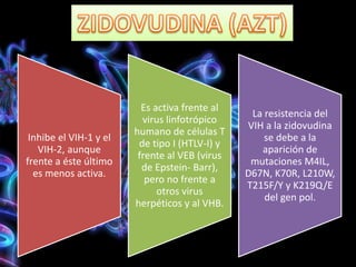 Inhibe el VIH-1 y el
VIH-2, aunque
frente a éste último
es menos activa.
Es activa frente al
virus linfotrópico
humano de células T
de tipo I (HTLV-I) y
frente al VEB (virus
de Epstein- Barr),
pero no frente a
otros virus
herpéticos y al VHB.
La resistencia del
VIH a la zidovudina
se debe a la
aparición de
mutaciones M4IL,
D67N, K70R, L210W,
T215F/Y y K219Q/E
del gen pol.
 