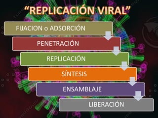 FIJACION o ADSORCIÓN
PENETRACIÓN
REPLICACIÓN
SÍNTESIS
ENSAMBLAJE
LIBERACIÓN
 