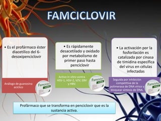 • Es el profármaco éster
diacetílico del 6-
desoxipenciclovir
Análogo de guanosina
acíclico
• Es rápidamente
desacetilado y oxidado
por metabolismo de
primer paso hasta
penciclovir
Activo in vitro contra
HSV-1, HSV-2, VZV, EBV
y HBV.
• La activación por la
fosforilación es
catalizada por cinasa
de timidina específica
del virus en células
infectadas
Seguida por inhibición
competitiva de la
polimerasa de DNA vírico y
bloquear síntesis de DNA.
Profármaco que se transforma en penciclovir que es la
sustancia activa.
 
