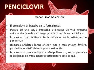 MECANISMO DE ACCIÓN
• El penciclovir es inactivo en su forma inicial.
• Dentro de una célula infectada viralmente un viral timidina
quinasa añade un fosfato de grupo a la molécula de penciclovir
• Éste es el paso limitante de la velocidad en la activación de
penciclovir.
• Quinasas celulares luego añaden dos o más grupos fosfato,
produciendo el trifosfato de penciclovir activo.
• Esta forma activada inhibe viral ADN polimerasa, lo cual perjudica
la capacidad del virus para replicarse dentro de la célula.
 