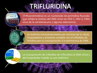 (Trifluorotimidina) es un nucleósido de pirimidina fluorada
que inhibe la síntesis del DNA vírico en HSV-1, HSV-2, CMV,
virus de la variolovacuna y algunos adenovirus.
Se fosforila intracelularmente por enzimas de la célula
hospedadora y entonces compite con el trifosfato de
timidina por su incorporación a la polimerasa de DNA.
La incorporación de trifosfato de trifluridina al DNA vírico y
del hospedador impide su uso sistémico
 