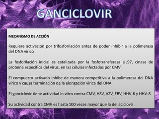 MECANISMO DE ACCIÓN
Requiere activación por trifosforilación antes de poder inhibir a la polimerasa
del DNA vírico
La fosforilación inicial es catalizada por la fosfotransferasa UL97, cinasa de
proteína específica del virus, en las células infectadas por CMV
El compuesto activado inhibe de manera competitiva a la polimerasa del DNA
vírico y causa terminación de la elongación vírica del DNA
El ganciclovir tiene actividad in vitro contra CMV, HSV, VZV, EBV, HHV-6 y HHV-8
Su actividad contra CMV es hasta 100 veces mayor que la del aciclovir
 