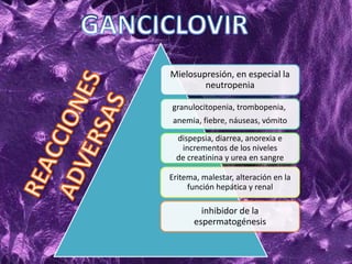 Mielosupresión, en especial la
neutropenia
granulocitopenia, trombopenia,
anemia, fiebre, náuseas, vómito
dispepsia, diarrea, anorexia e
incrementos de los niveles
de creatinina y urea en sangre
Eritema, malestar, alteración en la
función hepática y renal
inhibidor de la
espermatogénesis
 