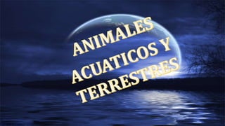 Presentacitipos de animalesón1