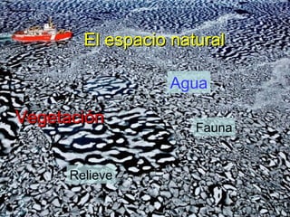 El espacio naturalEl espacio natural
VegetaciónVegetación
Agua
Relieve
Fauna
 