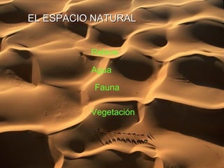 Agua
Vegetación
Fauna
Releve
EL ESPACIO NATURALEL ESPACIO NATURAL