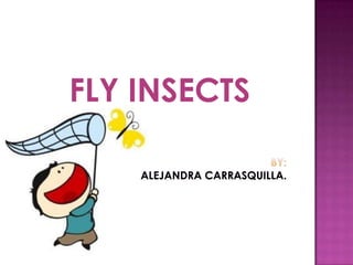 FLY INSECTS
 