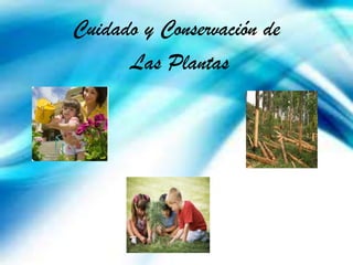 Cuidado y Conservación de
Las Plantas
 
