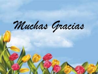 Muchas Gracias
 