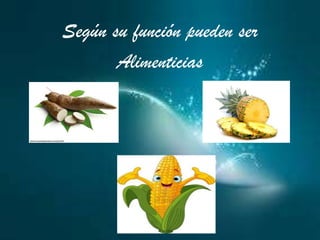 Según su función pueden ser
Alimenticias
 