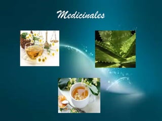 Medicinales
 