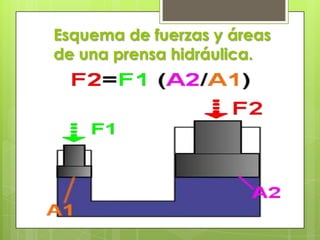 Esquema de fuerzas y áreas
de una prensa hidráulica.

 