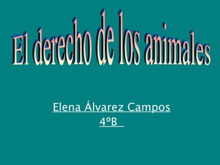 Elena Álvarez Campos
4ºB

 