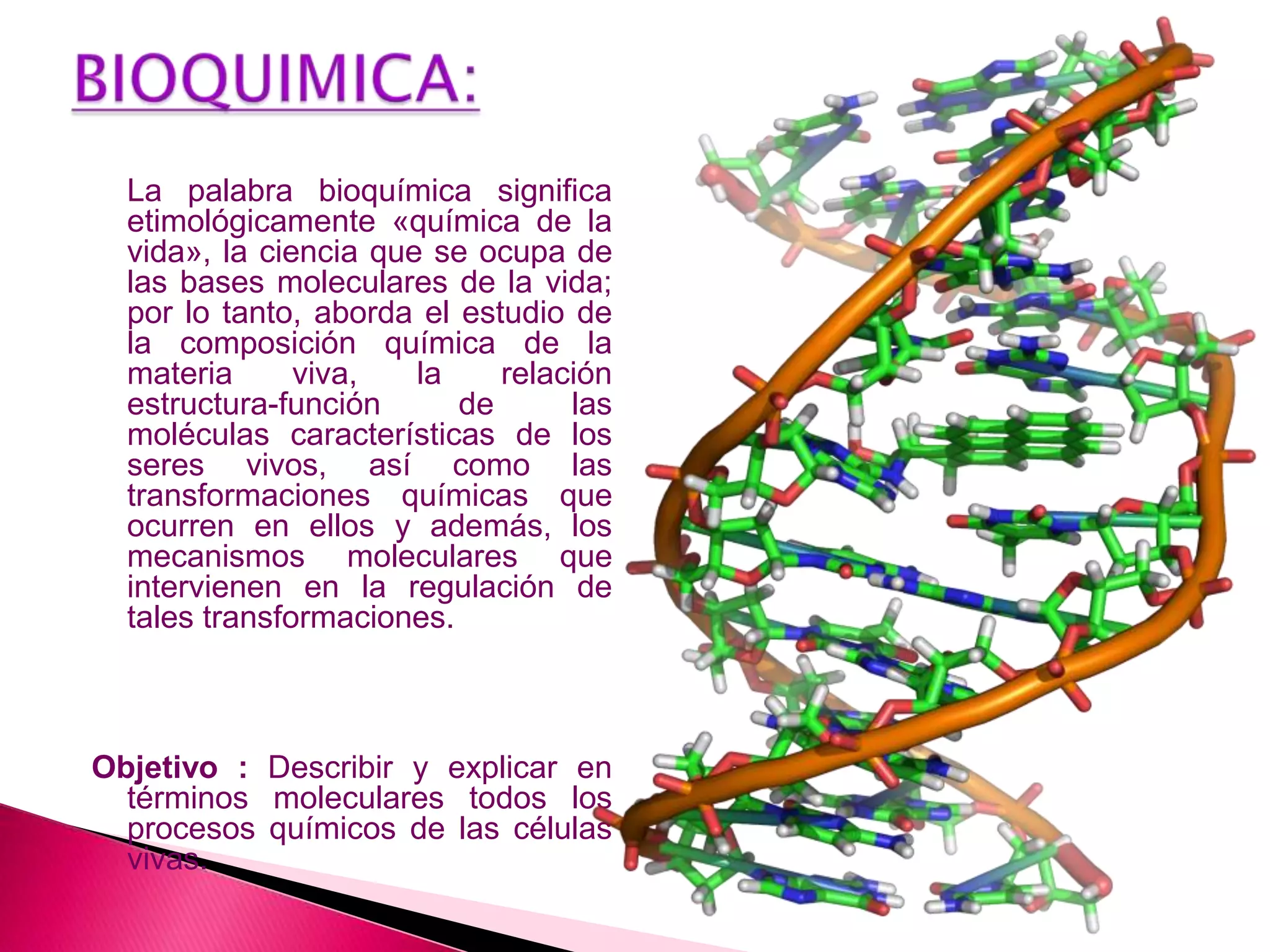 IMPORTANCIA DE LA BIOQUÍMICA | PPTX