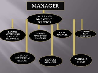MANAGER
SALES AND
MARKETING
DIRECTOR

HEAD OF
ADVERTISING
AND SALES
PROMOTION

HEAD OF
COMMERCIAL
RESEARCH

HEAD OF
MARKETING
PLANNING

PRODUCT
MANAGER

SALES
MANAGER

HEAD OF
NEW
PRODUCTS

MARKETS
HEAD

 