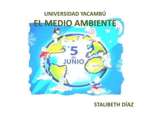 UNIVERSIDAD YACAMBÚ

EL MEDIO AMBIENTE

STALIBETH DÍAZ

 