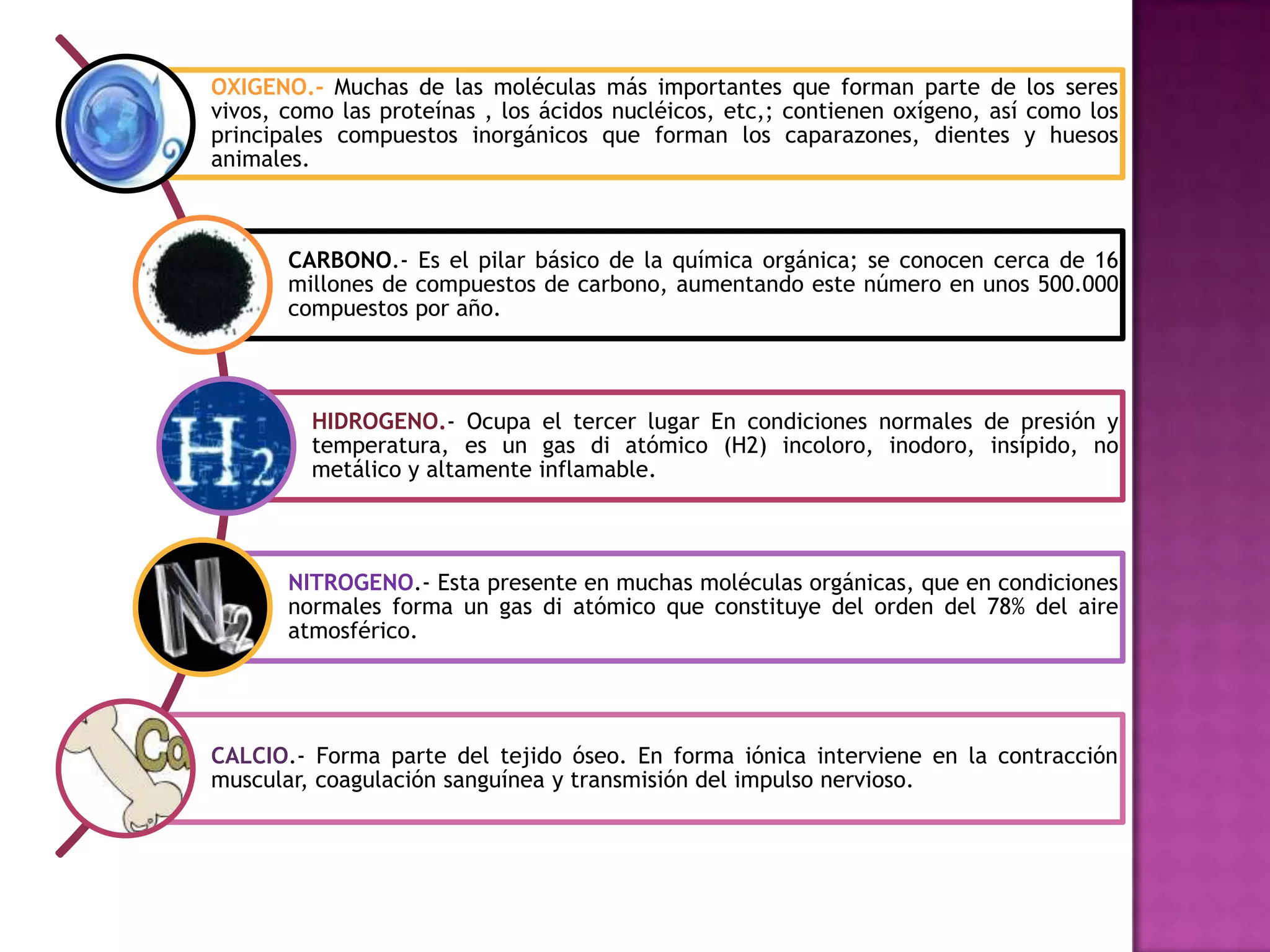 COMPOSICIÓN QUÍMICA DEL CUERPO HUMANO | PPTX
