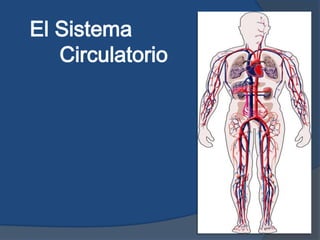 El Sistema
Circulatorio

 