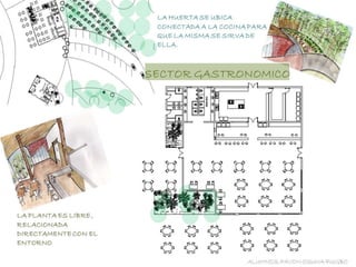 PARTIDO ARQUITECTÓNICO.