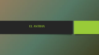 EL ANTRAX

 