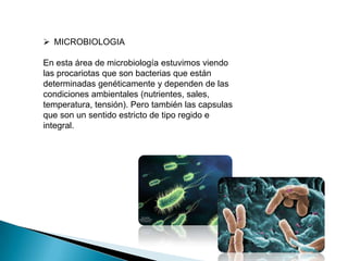  MICROBIOLOGIA
En esta área de microbiología estuvimos viendo
las procariotas que son bacterias que están
determinadas genéticamente y dependen de las
condiciones ambientales (nutrientes, sales,
temperatura, tensión). Pero también las capsulas
que son un sentido estricto de tipo regido e
integral.

 