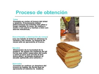 Proceso de obtención
Tala:
Consiste en cortar el tronco del árbol
y abatirlo. Previamente deben
seleccionarse los árboles más altos y
luego repoblar la zona. Se realiza a
mano o con sierra y hachas o bien con
sierras mecánicas.

Descortezado y eliminación de ramas:
una vez talado el árbol se eliminan la
corteza y las ramas. La mayoría de
veces solo se aprovecha el tronco.
Secado:
Eliminación de la humedad de la
madera. Se apilan las maderas de tal
forma que estén separadas del suelo
y entre sí para que circule el aire
entre ellas ( se puede acelerar el
secado aplicando aire caliente )
Aserrado:
Consiste en realizar un despiece del
tronco en tablas, de forma que se
aproveche al máximo la madera.

 